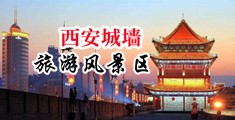 小逼被操的不要不要的呻吟声超诱惑中国陕西-西安城墙旅游风景区